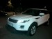 LAND-ROVER Discovery Dynamique occasion 395603