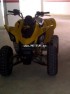 CAN-AM Ds 250 250 occasion  224425