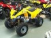 CAN-AM Ds 250 250 occasion  218966
