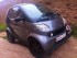 SMART Fortwo occasion 41355