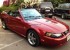 FORD Mustang Cabriolet occasion 21804