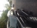 NISSAN X trail occasion 298438