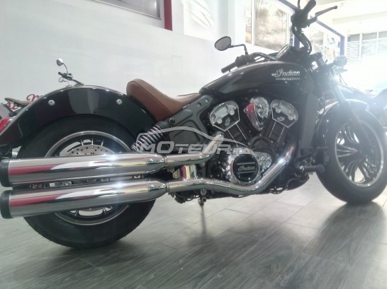INDIAN Scout occasion  418652