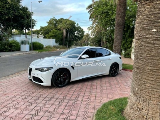 ألفا روميو جيوليا Quadrifoglio مستعملة 1156116