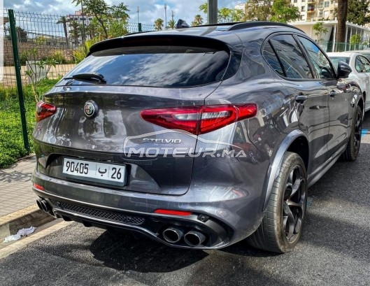 ALFA-ROMEO Stelvio 510 ch / quadrifoglio v6 biturbo occasion 1220470