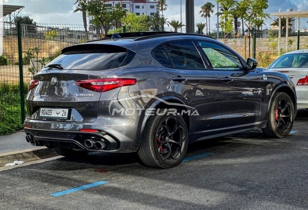 ALFA-ROMEO Stelvio 510 ch / quadrifoglio v6 biturbo occasion 1220476