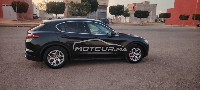 ألفا روميو ستيلفيو مستعملة 3145094