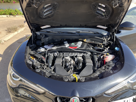 ألفا روميو ستيلفيو Quadrifoglio مستعملة 1782090