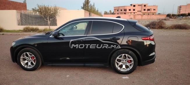 ألفا روميو ستيلفيو مستعملة 3151384