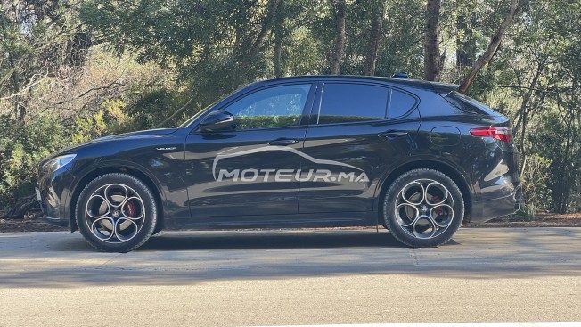 ألفا روميو ستيلفيو Veloce 2022 مستعملة 2552783