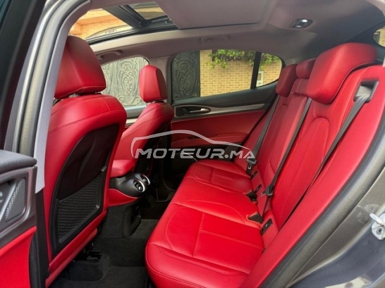 ألفا روميو ستيلفيو مستعملة 2868553