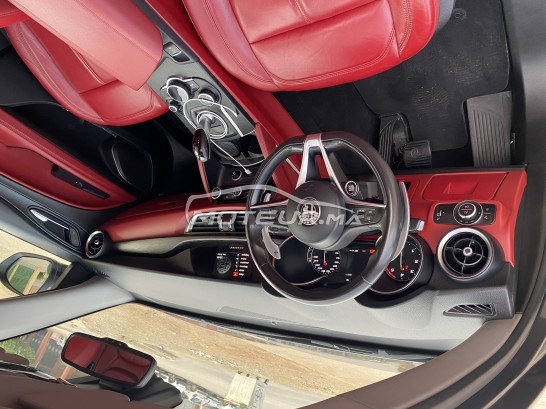 ALFA-ROMEO Stelvio occasion 1369076