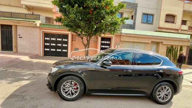 ألفا روميو ستيلفيو 180 cv مستعملة 2287956