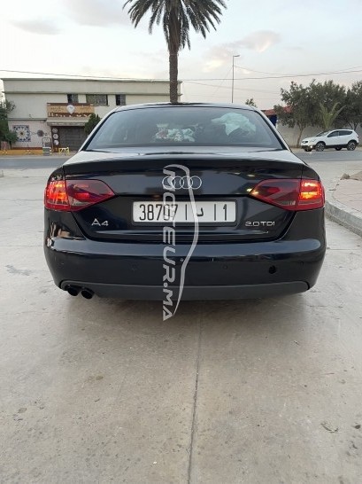 أودي ا4 B8 مستعملة 2631407