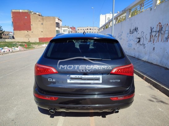 AUDI Q5 Avus occasion 1828786