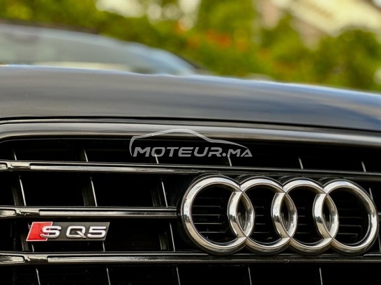 AUDI Q5 Sq5 occasion 1825962