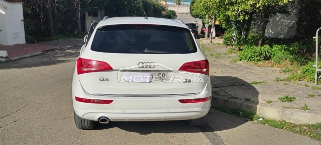 AUDI Q5 نور الدين أضريس occasion 1839588