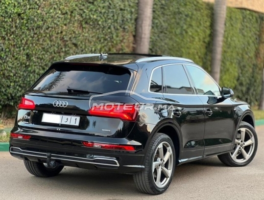 أودي كي5 مستعملة 2767045