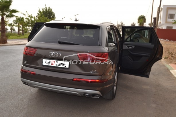 AUDI Q7 Tdi occasion 1532727
