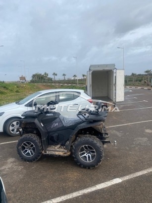 AUTRE Autre Am appolo occasion 3339145