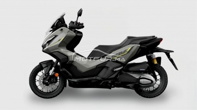 اوتري اوتري مستعملة 3379138