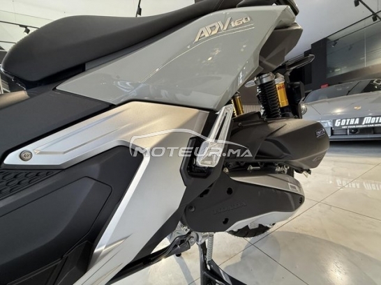 اوتري اوتري مستعملة 3514947