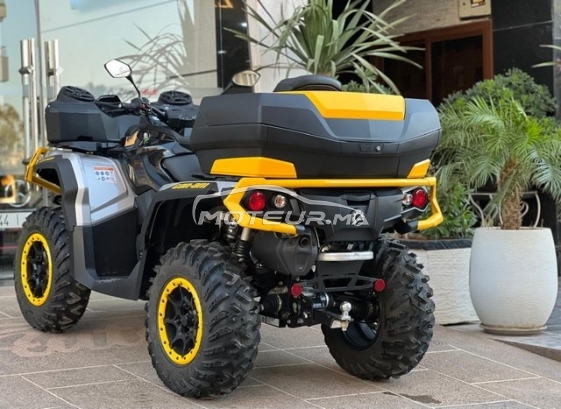 اوتري اوتري مستعملة 2974427