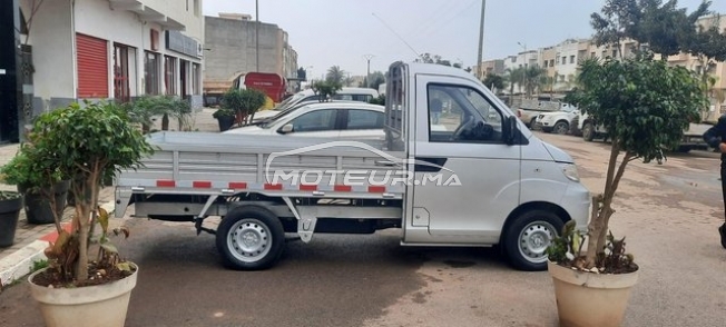 اوتري اوتري مستعملة 2089577