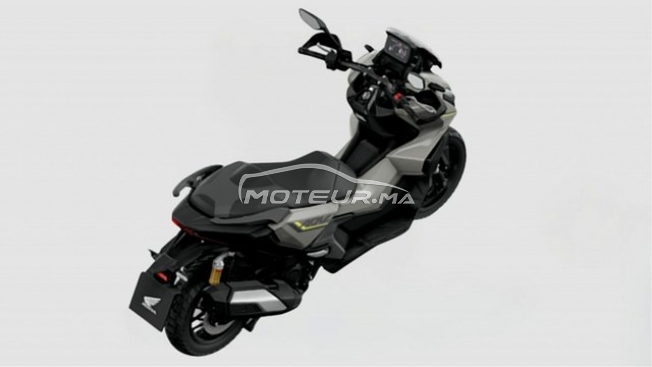 اوتري اوتري مستعملة 3379137