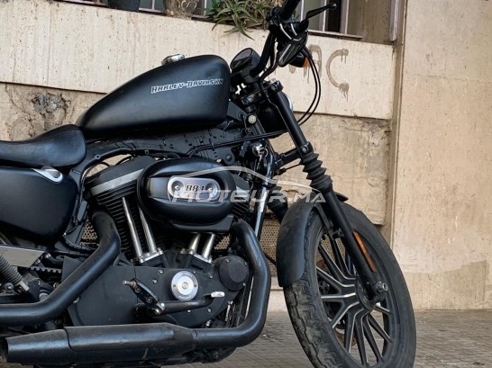 هارليي-دافيدسون يرون 833 مستعملة 1103222