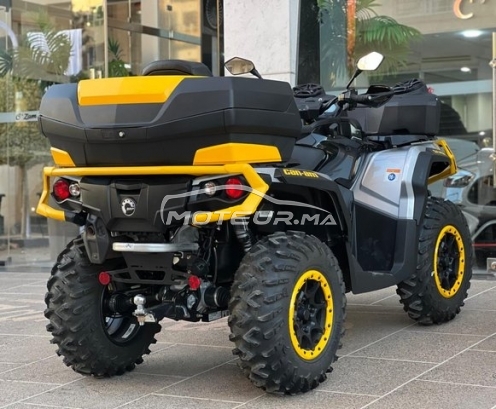 اوتري اوتري مستعملة 2974429