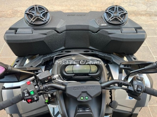 اوتري اوتري مستعملة 2974430