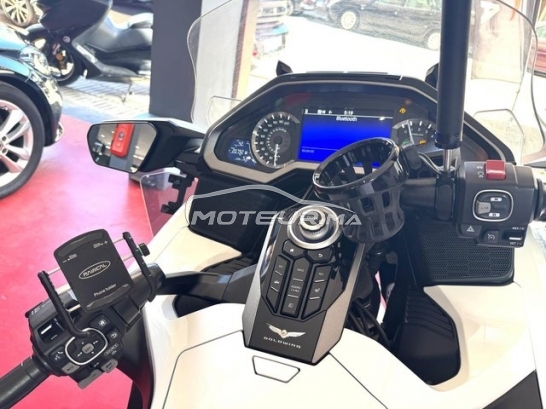 اوتري اوتري مستعملة 2540741