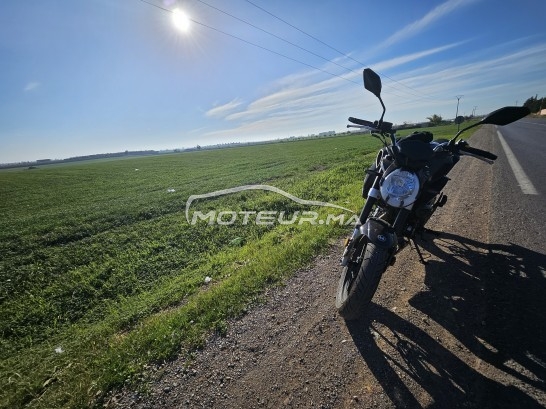 اوتري اوتري مستعملة 1834317