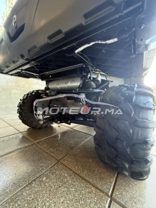 اوتري اوتري مستعملة 2859266