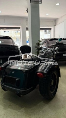 اوتري اوتري مستعملة 2973572