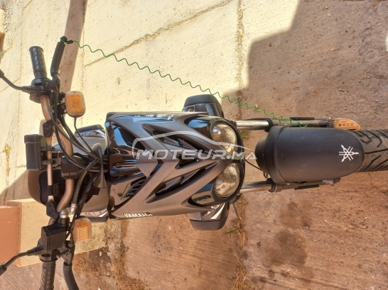 YAMAHA Stunt occasion  1434051