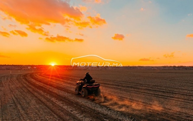 AUTRE Autre Am appolo occasion 3339173