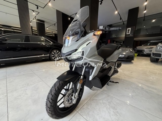 اوتري اوتري مستعملة 3514939