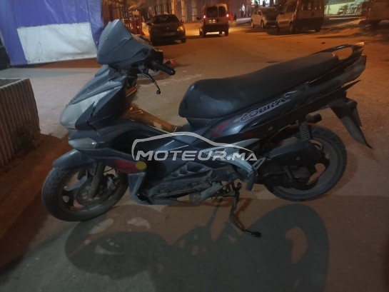 AUTRE Autre Cobra occasion  1792854