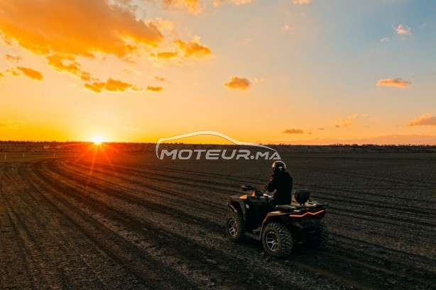 AUTRE Autre Am appolo occasion 3339172