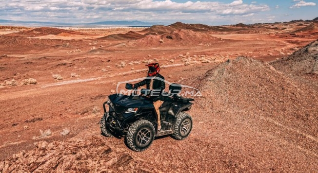 AUTRE Autre Am appolo occasion 3339171