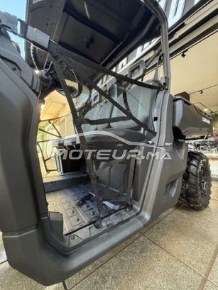 اوتري اوتري مستعملة 2859260