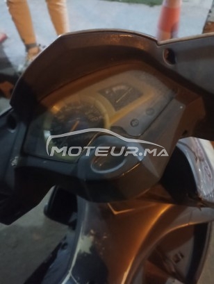 AUTRE Autre Cobra occasion  1792852