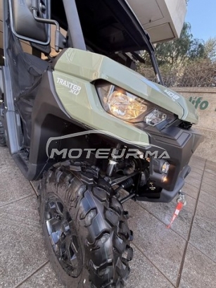 اوتري اوتري مستعملة 2859257