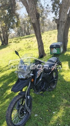 BECANE Super cub Becan atx 125 occasion  3366216