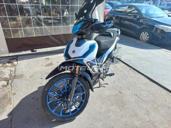 BECANE Ribiero 33 Bon eta occasion  1823064