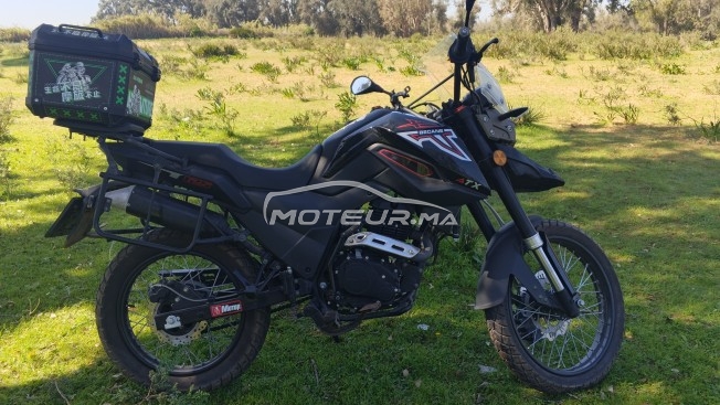 BECANE Super cub Becan atx 125 occasion  3366219