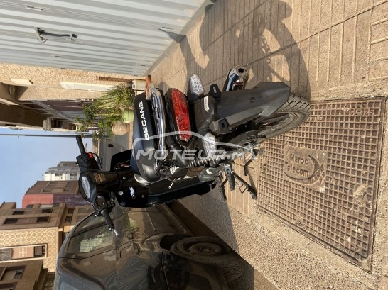 BECANE Ribiero 33 occasion  1261232