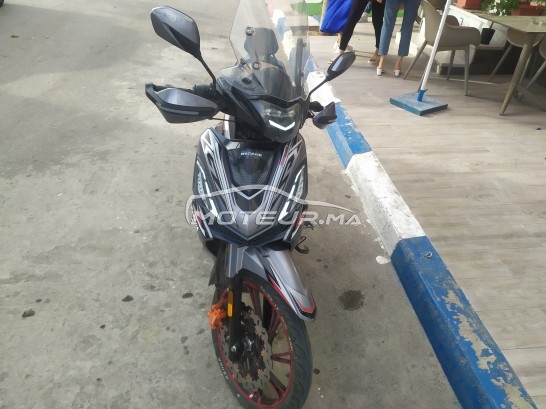 BECANE Ribiero 33 occasion  1202719